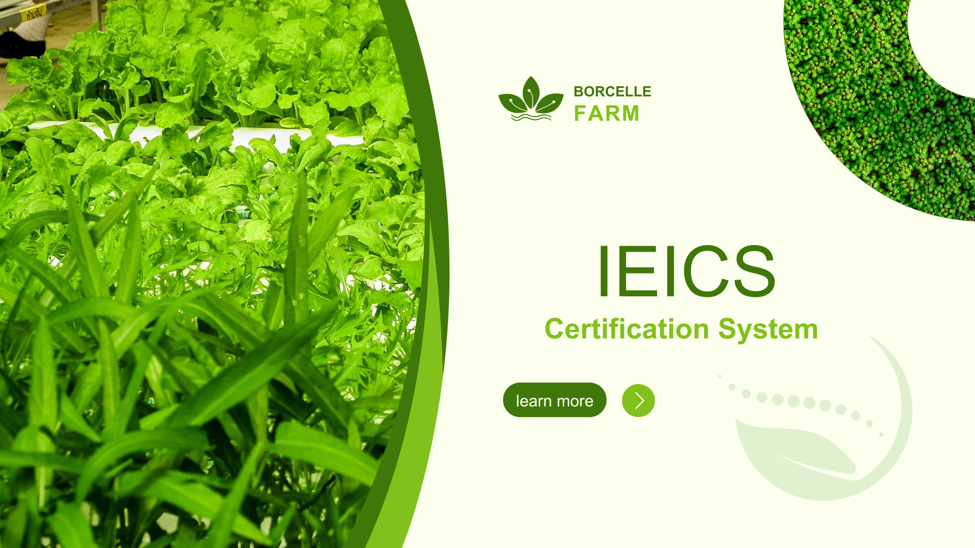IEICS - Certification System